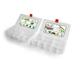 Coghlans Scavenger Hunt Kit (RRP $24.95)